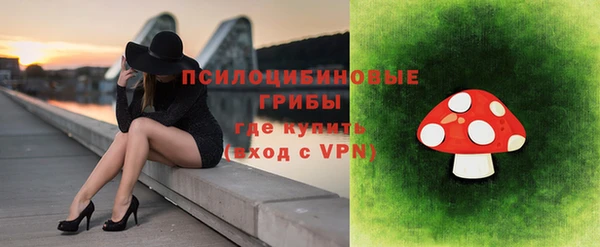 прущий лед Абаза