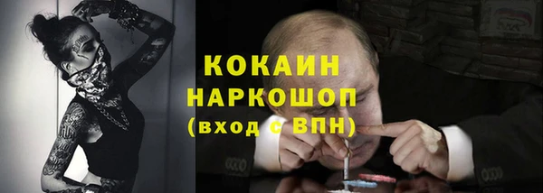стаф Вязники