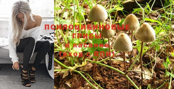 прущий лед Абаза
