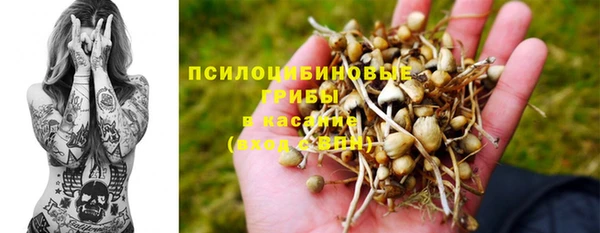 прущий лед Абаза